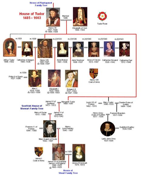 genealogia dei tudor|queens of tudor family tree.